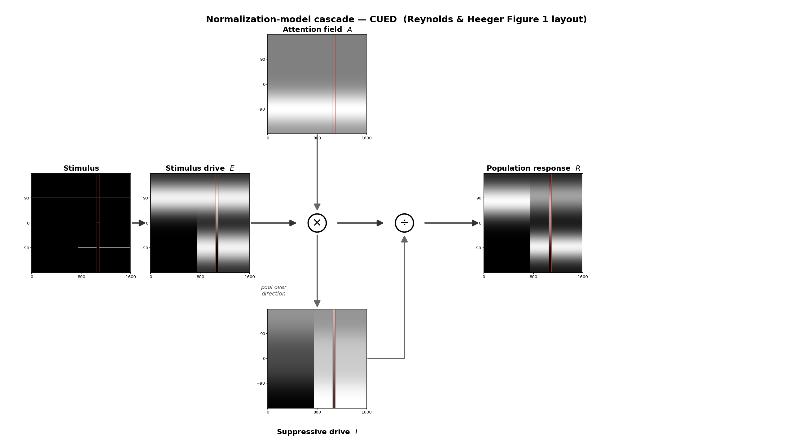 Reynolds & Heeger Figure 1 schematic, run on the delayed-onset stimulus: stimulus drive multiplied by the attention field then divided by the suppressive drive to give the population response, as direction-by-time grayscale maps